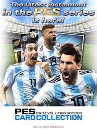 PES CARD COLLECTION screenshot, image №1347243 - RAWG