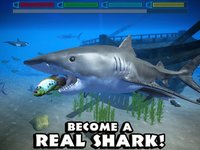 Ultimate Shark Simulator screenshot, image №954974 - RAWG