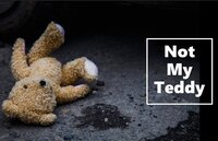 Not My Teddy screenshot, image №3390569 - RAWG