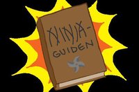 Ninjaguiden (The Ninja Guide) screenshot, image №1118182 - RAWG