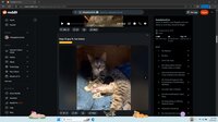 Digital Desktop Cats screenshot, image №4204732 - RAWG