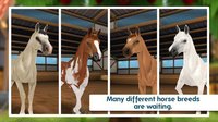 HorseHotel - be the manager of your own ranch! screenshot, image №1519489 - RAWG