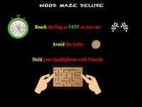 Wood Maze Deluxe screenshot, image №1959357 - RAWG