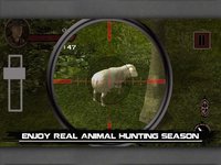 Real Animal Hunting Season: Ultimate Sniper Hunter screenshot, image №1910305 - RAWG