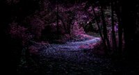 Fairy Tales of Innocent Children screenshot, image №1050098 - RAWG