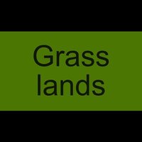 Grasslands screenshot, image №1269125 - RAWG