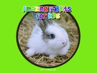 amazing rabbits for kids - free screenshot, image №1866659 - RAWG