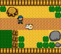 Harvest Moon screenshot, image №806535 - RAWG