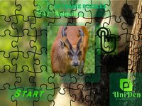 Ultimate Puzzles Animals 4 screenshot, image №2948395 - RAWG