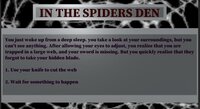 In The Spiders Den screenshot, image №2914868 - RAWG