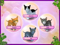 I Love Cats. 22 Cat Games screenshot, image №513859 - RAWG