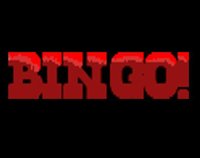 Bingo screenshot, image №2365008 - RAWG
