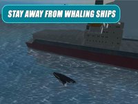 Whale Survival Simulator 3D - Ocean animal survival simulator screenshot, image №1625914 - RAWG