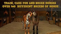 Horse Academy - Multiplayer Horse Racing Game! screenshot, image №2093704 - RAWG