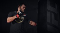 EA SPORTS UFC 3 Beta screenshot, image №707480 - RAWG