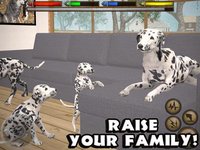 Ultimate Dog Simulator screenshot, image №1968087 - RAWG