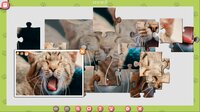 1001 Jigsaw. Cute Cats 3 screenshot, image №3744121 - RAWG