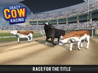 Cow Racing Free Game screenshot, image №1780005 - RAWG