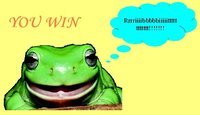 Frogger Remake Impossible [2006] screenshot, image №2258423 - RAWG