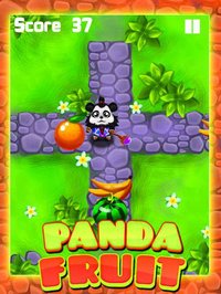 Ninja Panda Fruit Land screenshot, image №1705225 - RAWG