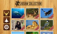 Jigsaw Collection screenshot, image №1153223 - RAWG