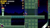 Sonic Frenzy Adventure screenshot, image №2530696 - RAWG