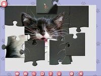 1001 Jigsaw. Cute Cats 4 screenshot, image №3834068 - RAWG