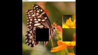 hgmGame-butterfly screenshot, image №4214762 - RAWG