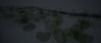 erLett screenshot, image №2577324 - RAWG