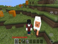 WorldCraft 3D screenshot, image №2764194 - RAWG