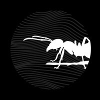 Anthill (itch) (WoWPerroDev, Drawowprro, saseb, Albvasper, Relionart) screenshot, image №2894683 - RAWG