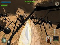 Ant Simulation 3D Full screenshot, image №2174241 - RAWG