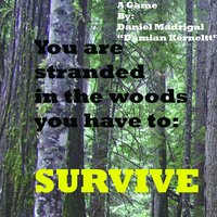 Survive (itch) (Kerneltt) screenshot, image №1247230 - RAWG