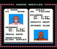 Tecmo World Wrestling screenshot, image №738198 - RAWG