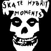 Skate Hybrid Moments screenshot, image №2235268 - RAWG