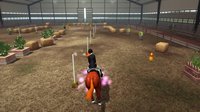 Riding Club Championships screenshot, image №106850 - RAWG