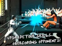 Karate Do Fighting Tiger 3D screenshot, image №908303 - RAWG