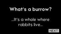 BURROW (Ismael LB) screenshot, image №2298270 - RAWG
