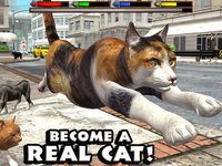 Ultimate Cat Simulator screenshot, image №955772 - RAWG