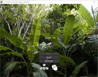 my birb ivory lays egg in jungle screenshot, image №2881298 - RAWG