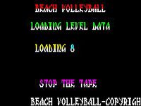Beach Volley screenshot, image №747506 - RAWG