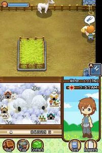 Harvest Moon DS: The Tale of Two Towns screenshot, image №791754 - RAWG