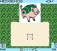 Pokemon Go Game Boy screenshot, image №3264948 - RAWG