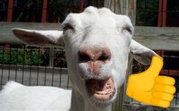 A Funny goat game screenshot, image №3743004 - RAWG