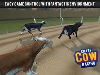 Cow Racing Free Game screenshot, image №1780001 - RAWG