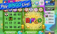 Bingo Craze screenshot, image №2078325 - RAWG