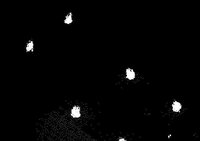 Virgil screenshot, image №2116284 - RAWG