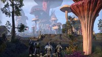 The Elder Scrolls Online: Morrowind screenshot, image №1826406 - RAWG