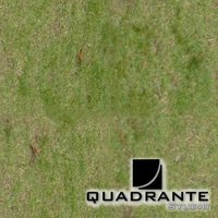 QS Materials Nature - Pack Grass vol.1 screenshot, image №1861076 - RAWG