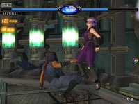 Dead or Alive Online screenshot, image №480137 - RAWG